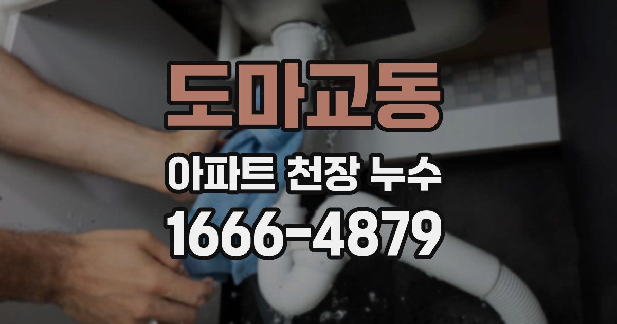 도마교동 아파트 천장 누수