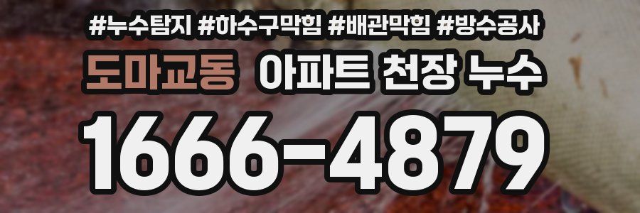 도마교동 아파트 천장 누수