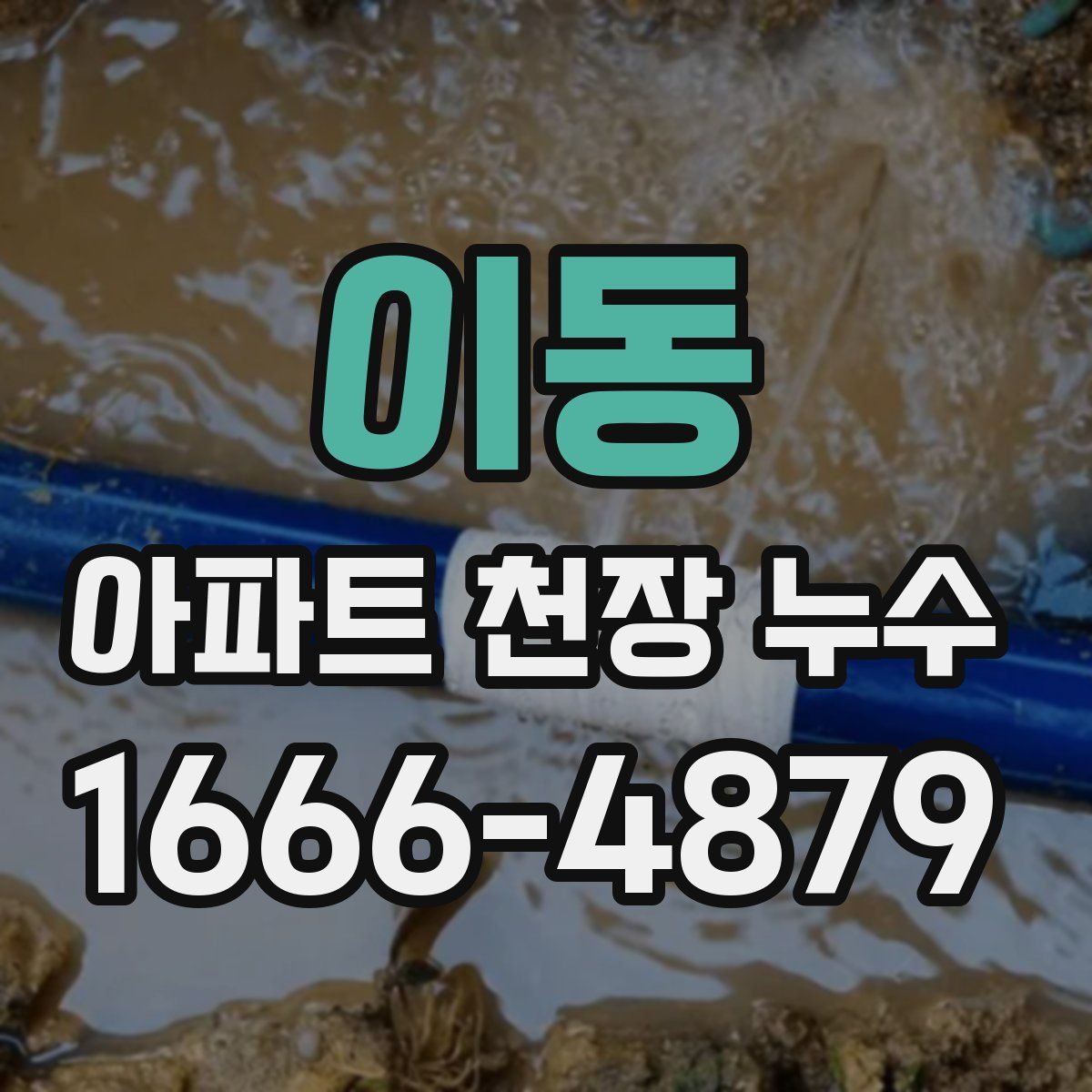 이동 아파트 천장 누수