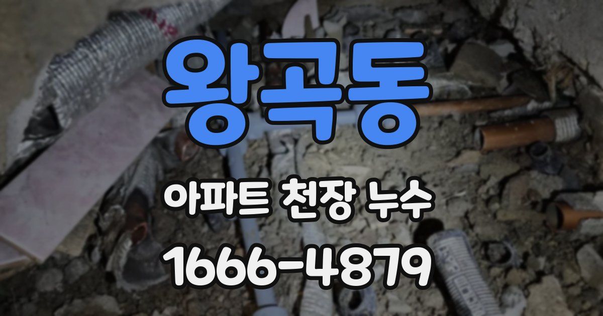 왕곡동 아파트 천장 누수