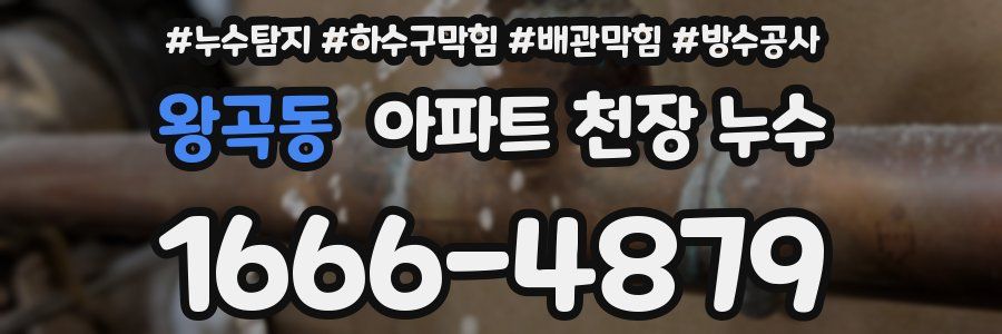 왕곡동 아파트 천장 누수