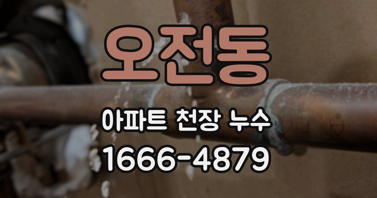 오전동 아파트 천장 누수