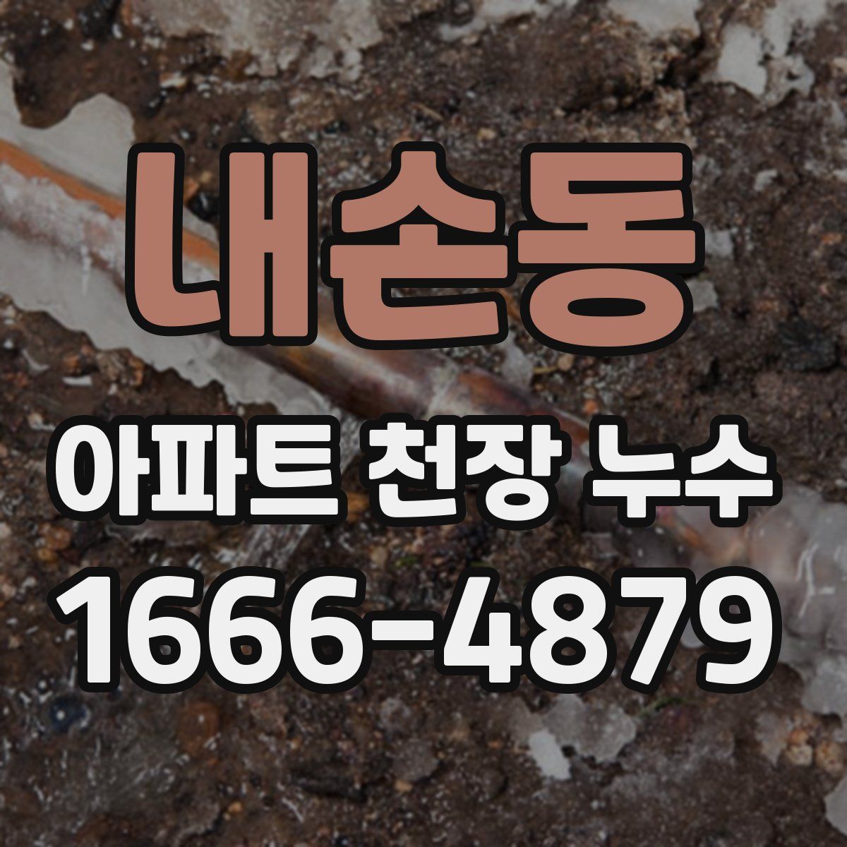 내손동 아파트 천장 누수