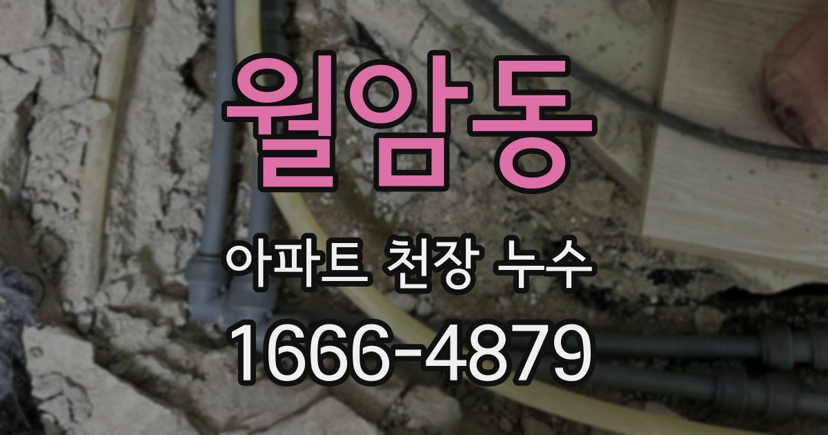 월암동 아파트 천장 누수