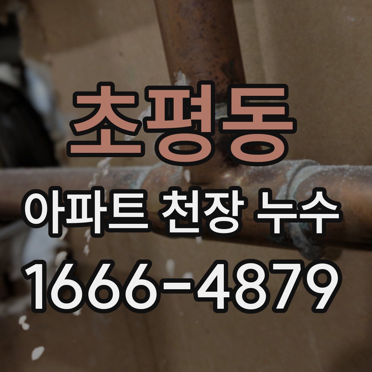초평동 아파트 천장 누수