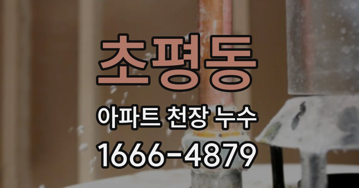 초평동 아파트 천장 누수