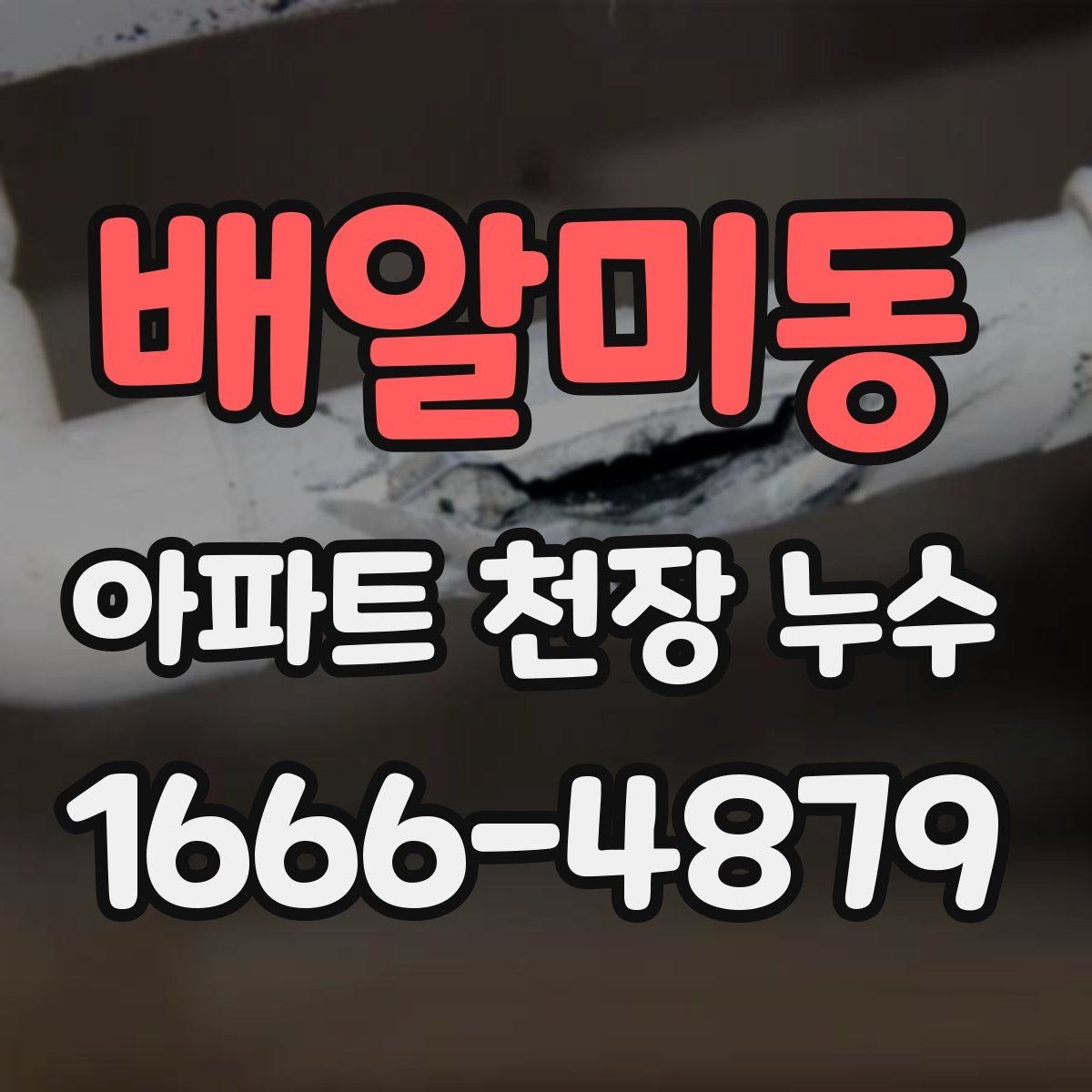 배알미동 아파트 천장 누수