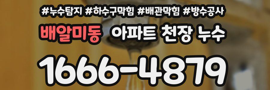 배알미동 아파트 천장 누수