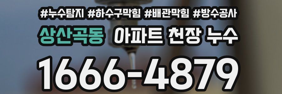 상산곡동 아파트 천장 누수