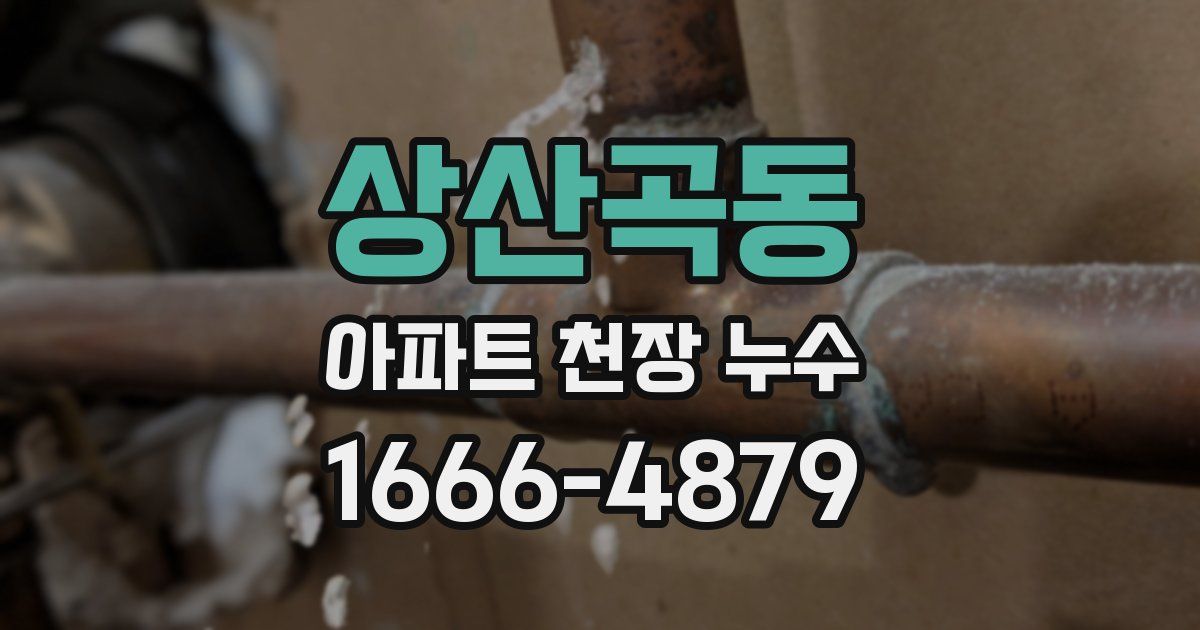 상산곡동 아파트 천장 누수