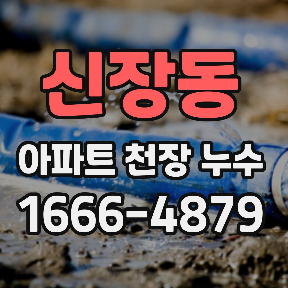 신장동 아파트 천장 누수