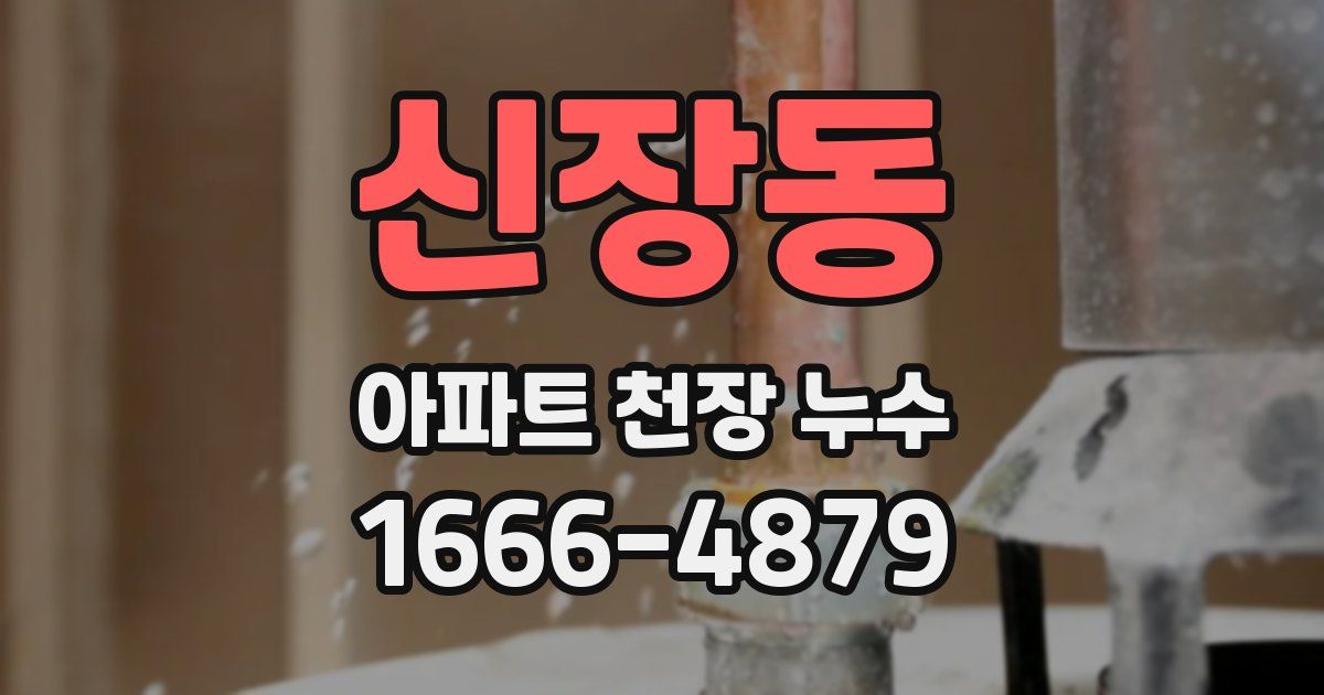 신장동 아파트 천장 누수