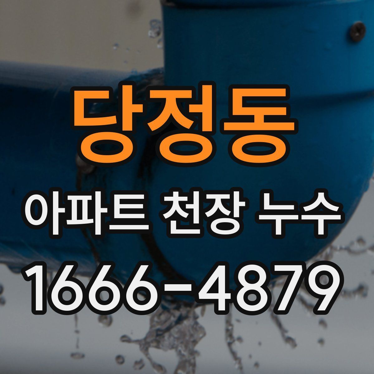 당정동 아파트 천장 누수