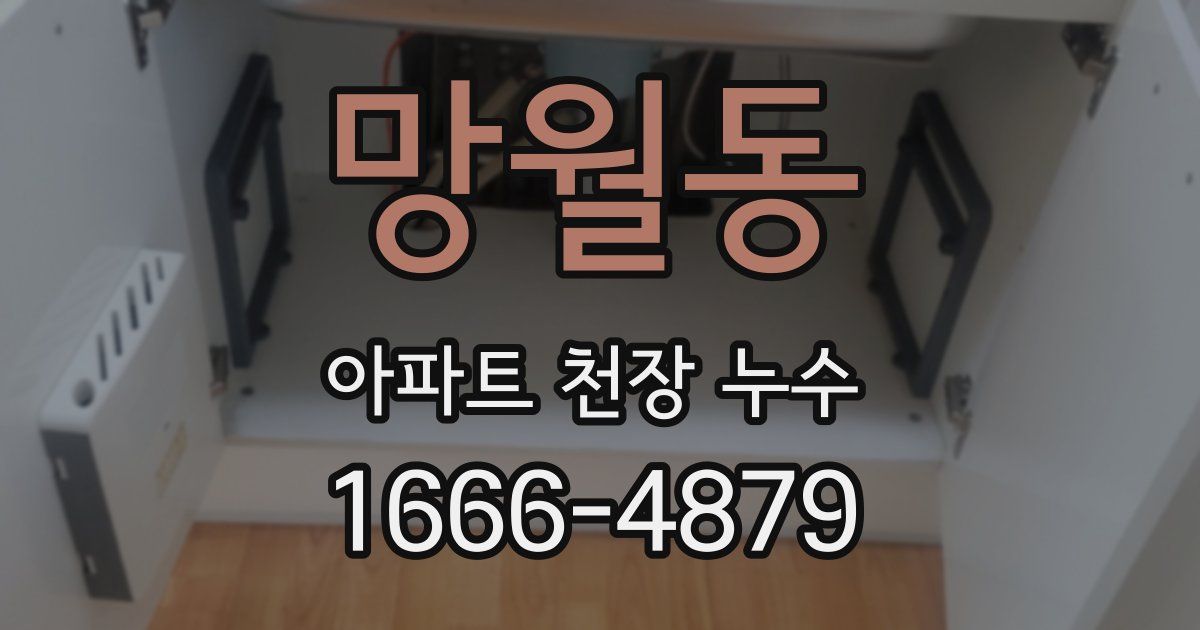 망월동 아파트 천장 누수