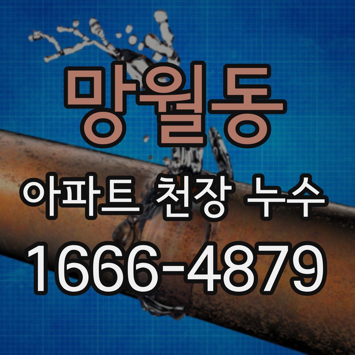 망월동 아파트 천장 누수
