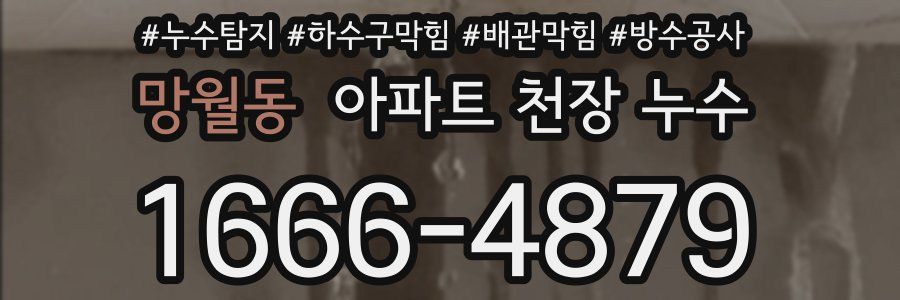 망월동 아파트 천장 누수
