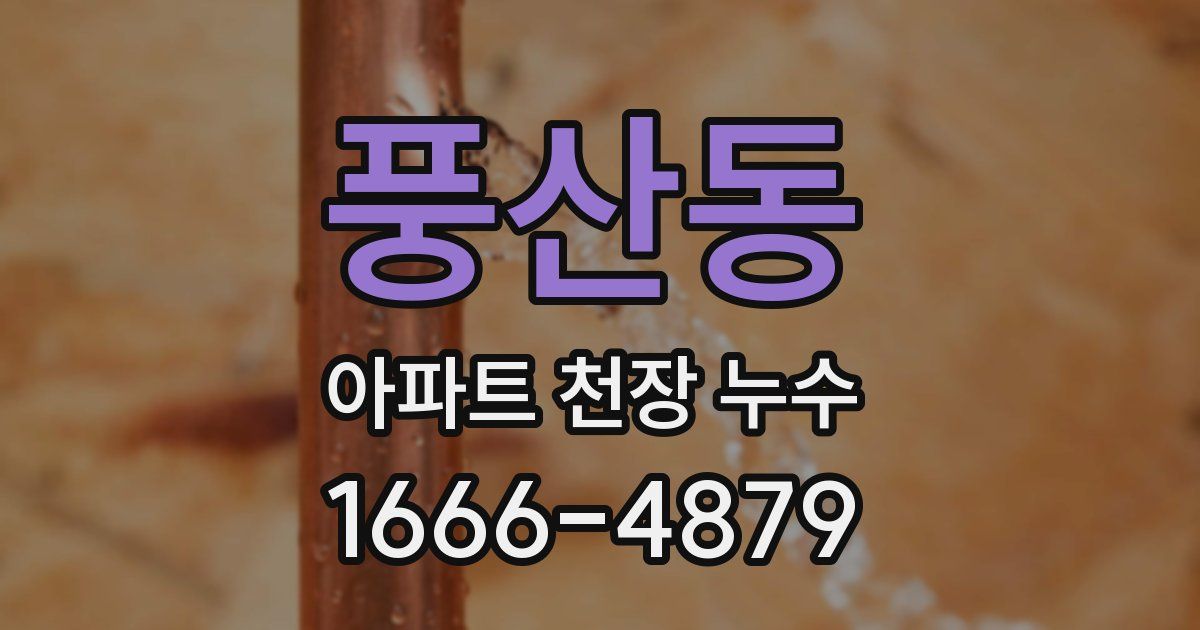 풍산동 아파트 천장 누수