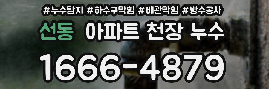 선동 아파트 천장 누수