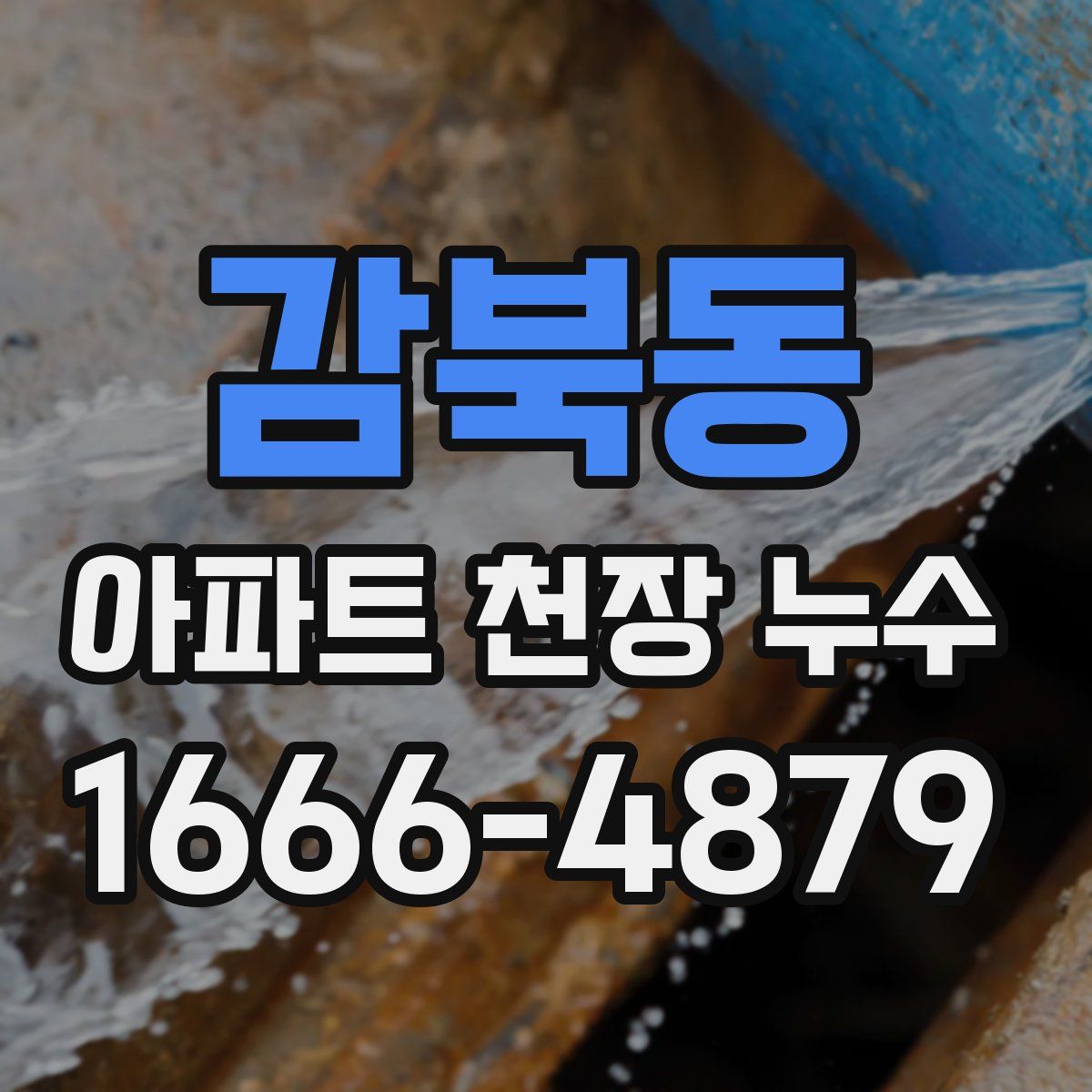 감북동 아파트 천장 누수