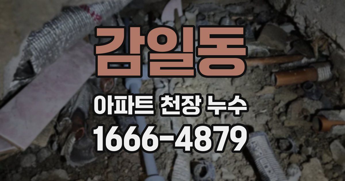 감일동 아파트 천장 누수