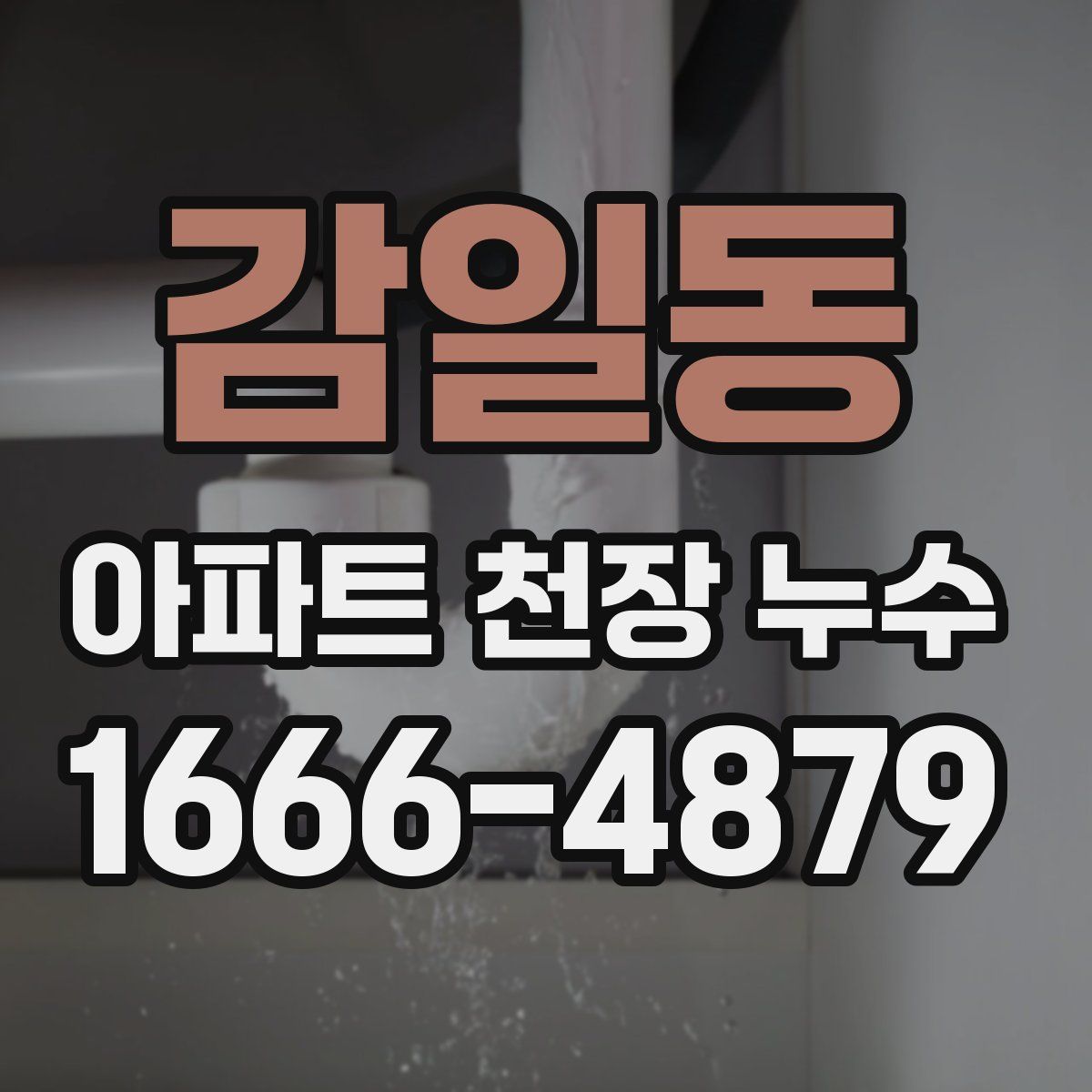 감일동 아파트 천장 누수