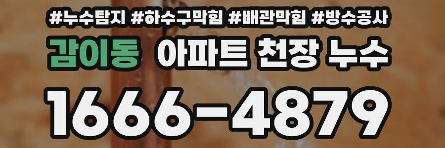 감이동 아파트 천장 누수