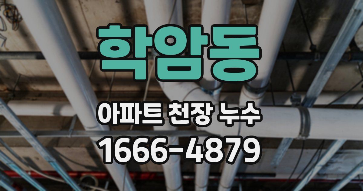 학암동 아파트 천장 누수