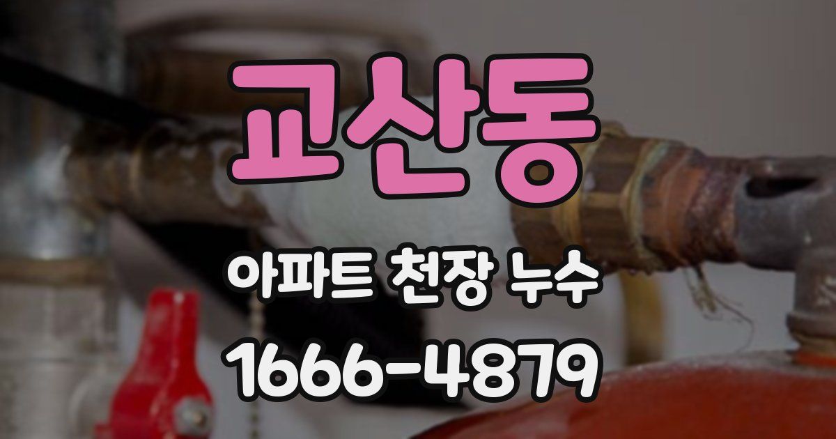 교산동 아파트 천장 누수