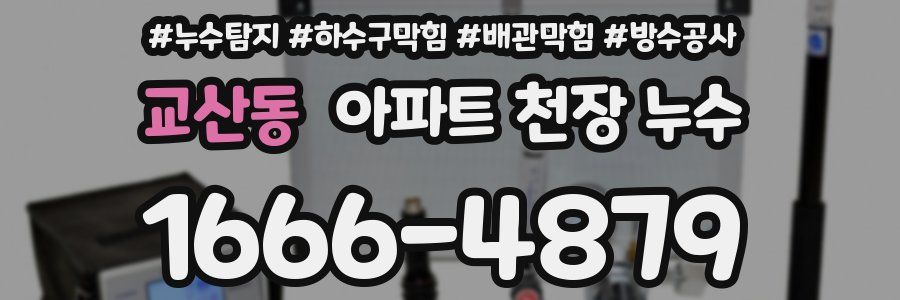 교산동 아파트 천장 누수