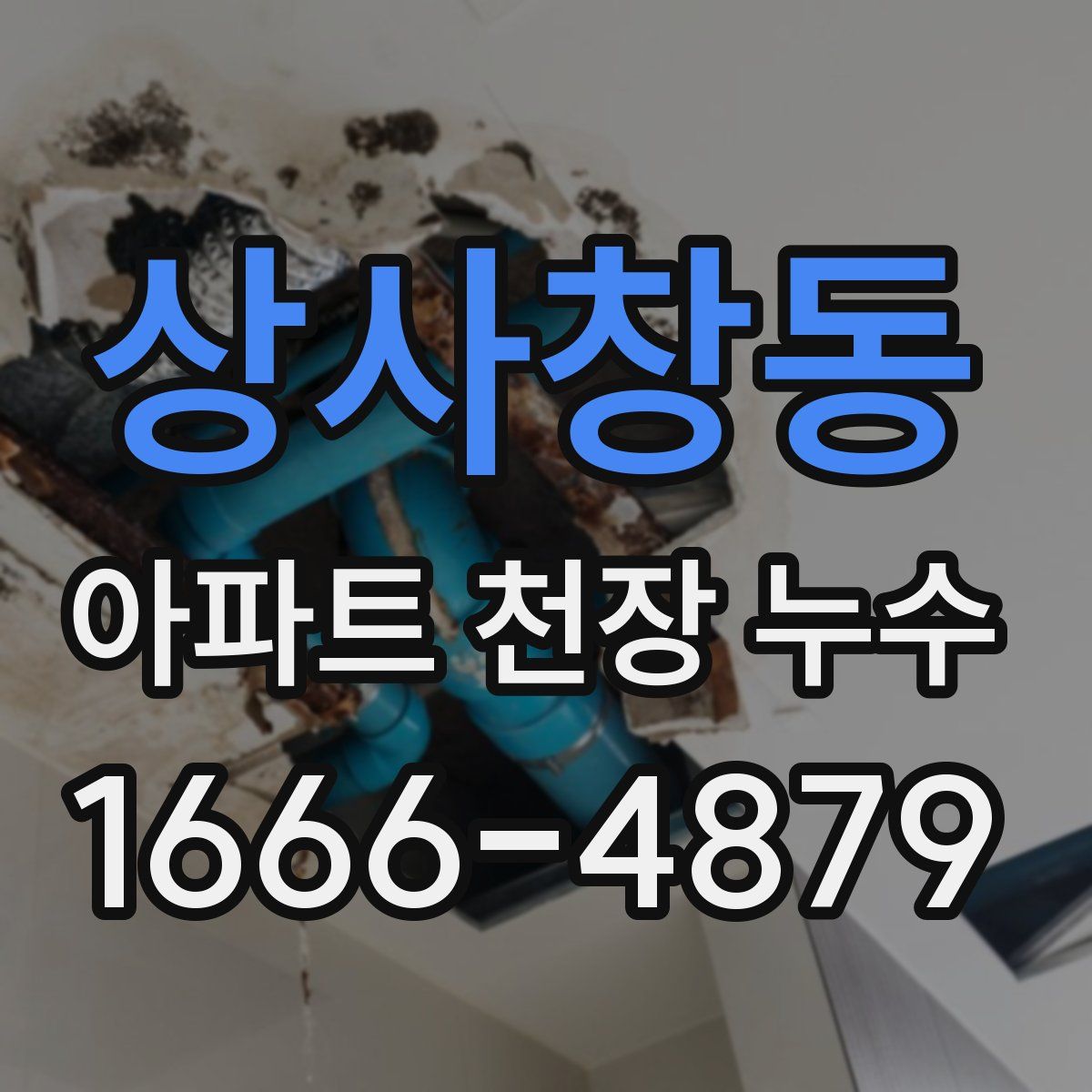 상사창동 아파트 천장 누수