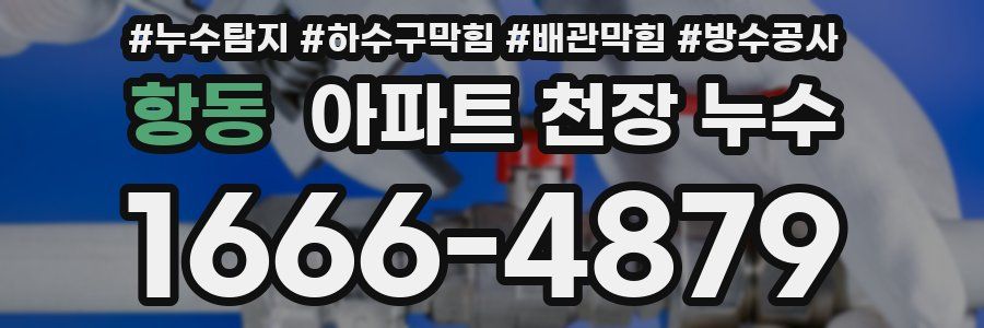 항동 아파트 천장 누수
