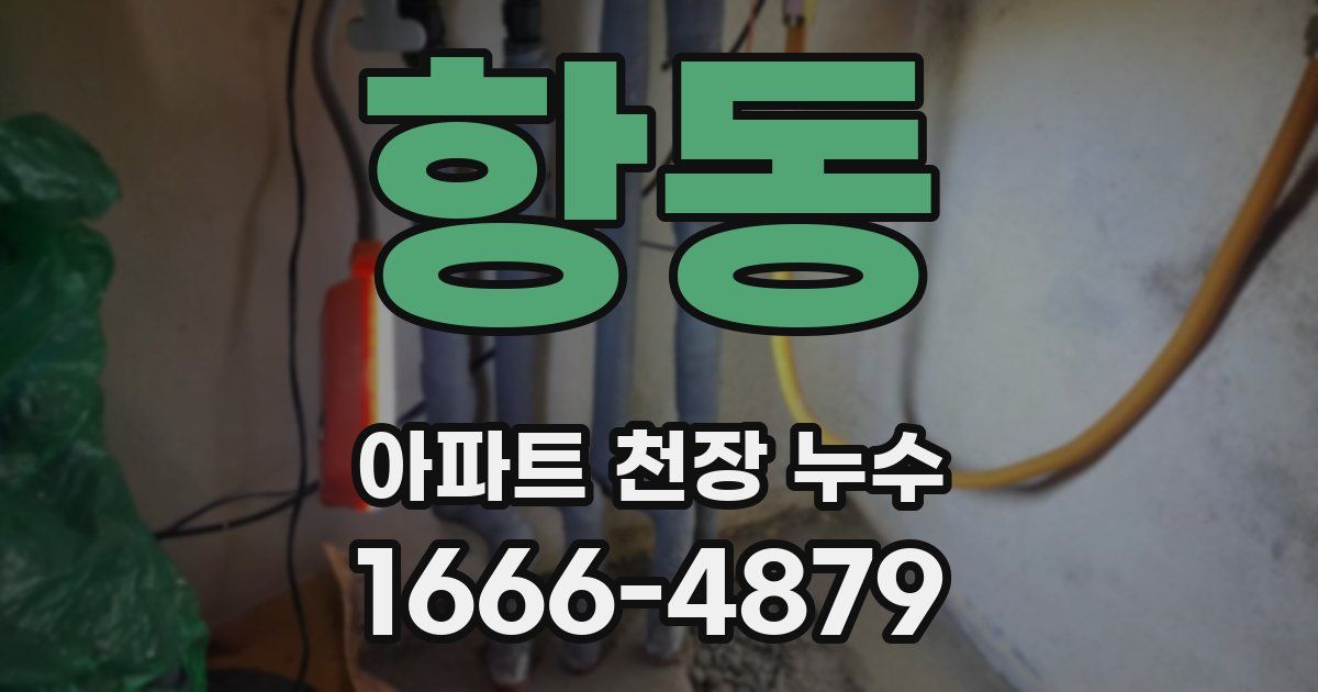 항동 아파트 천장 누수