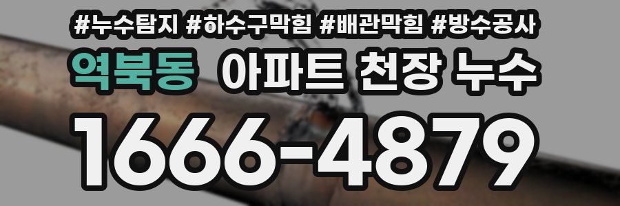 역북동 아파트 천장 누수