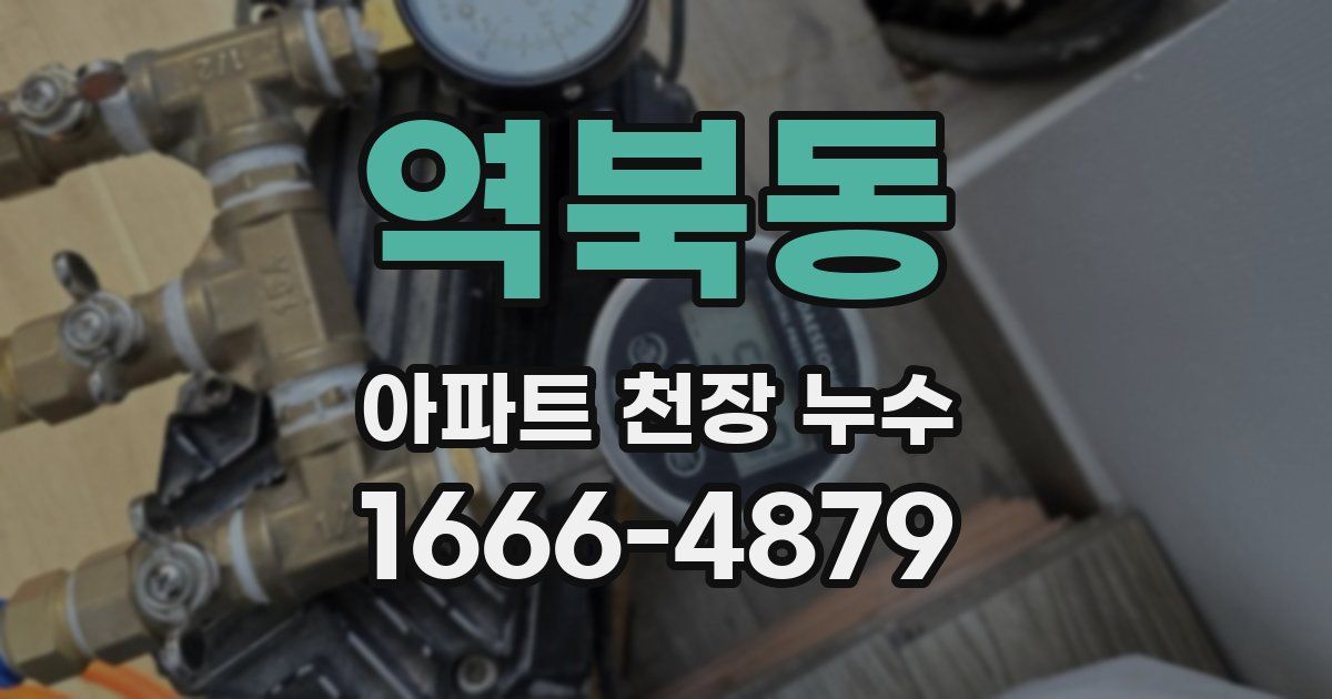 역북동 아파트 천장 누수