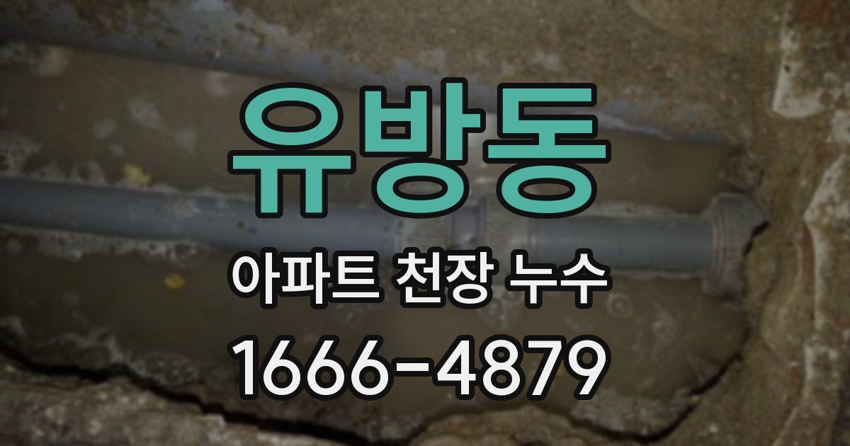 유방동 아파트 천장 누수