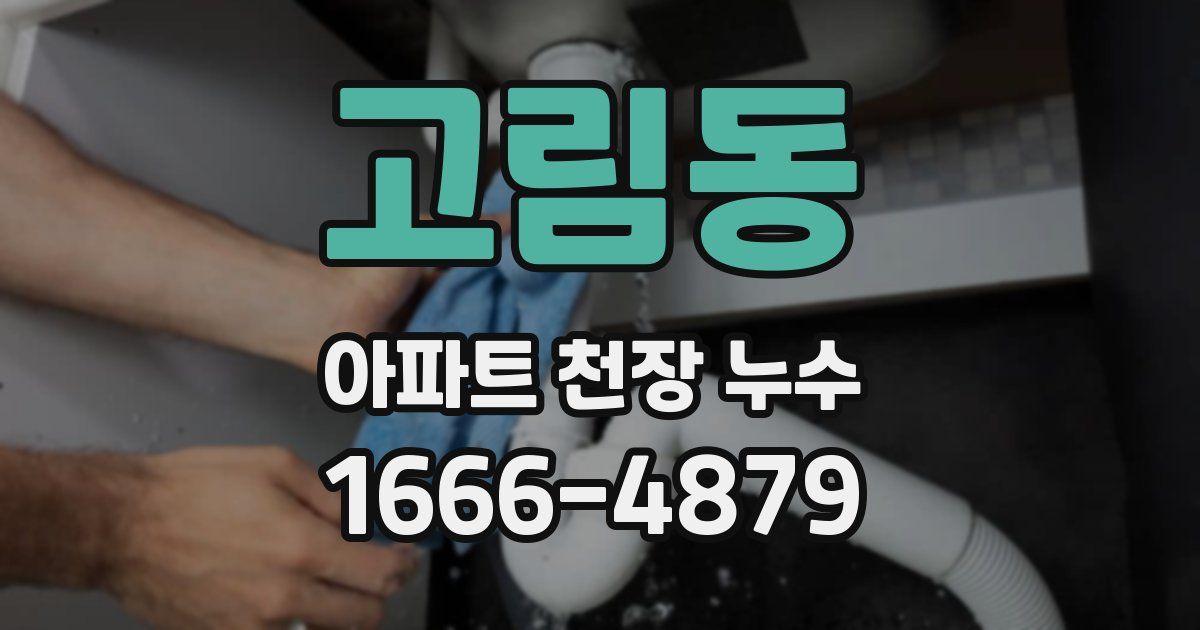 고림동 아파트 천장 누수
