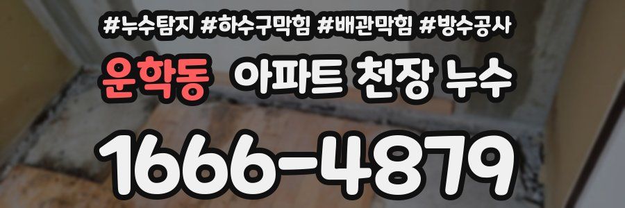 운학동 아파트 천장 누수