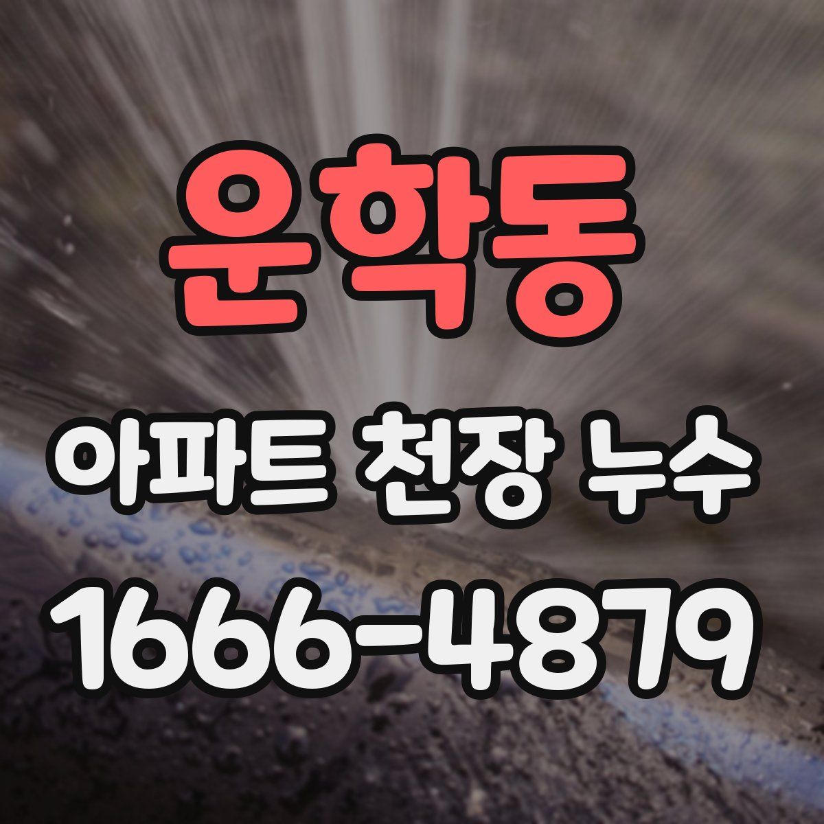 운학동 아파트 천장 누수