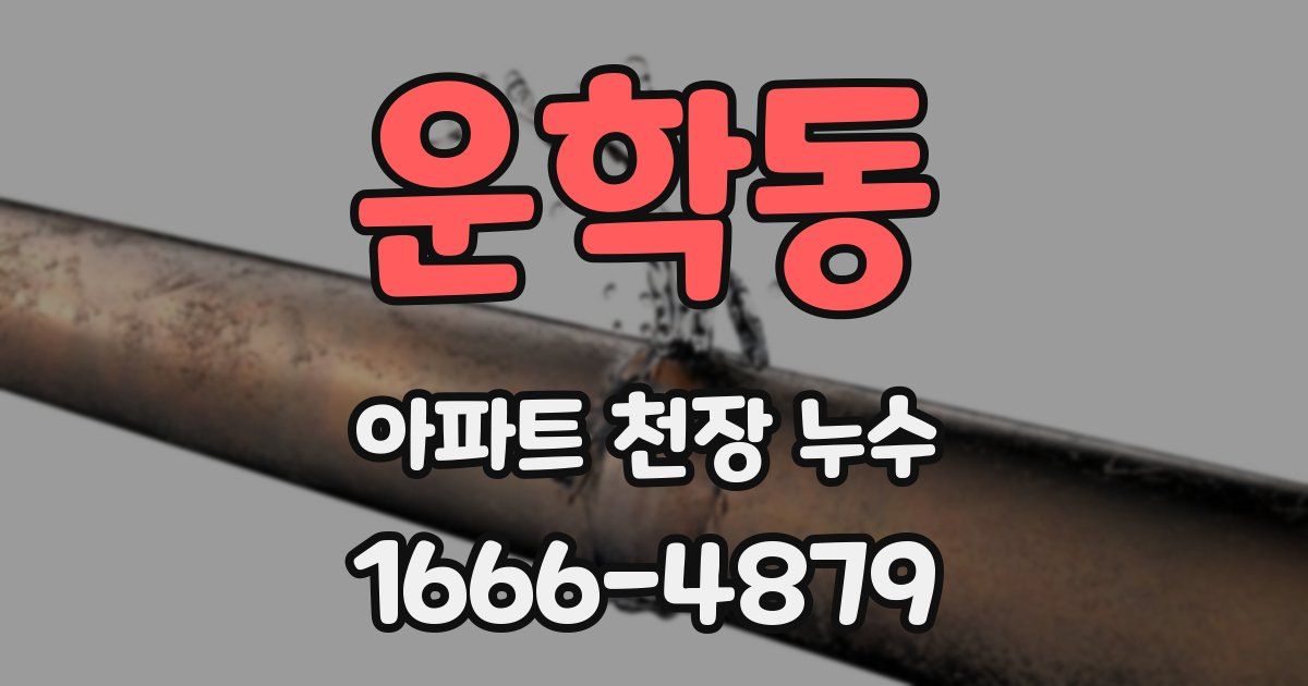 운학동 아파트 천장 누수