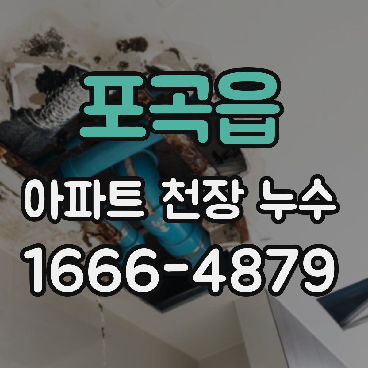 포곡읍 아파트 천장 누수