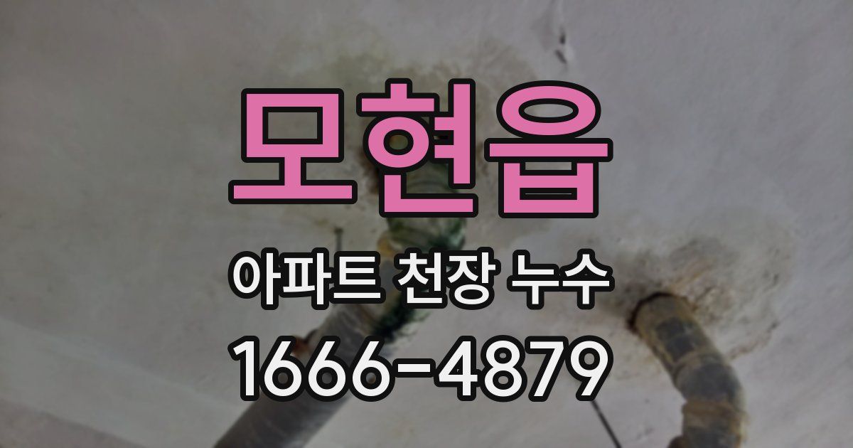 모현읍 아파트 천장 누수