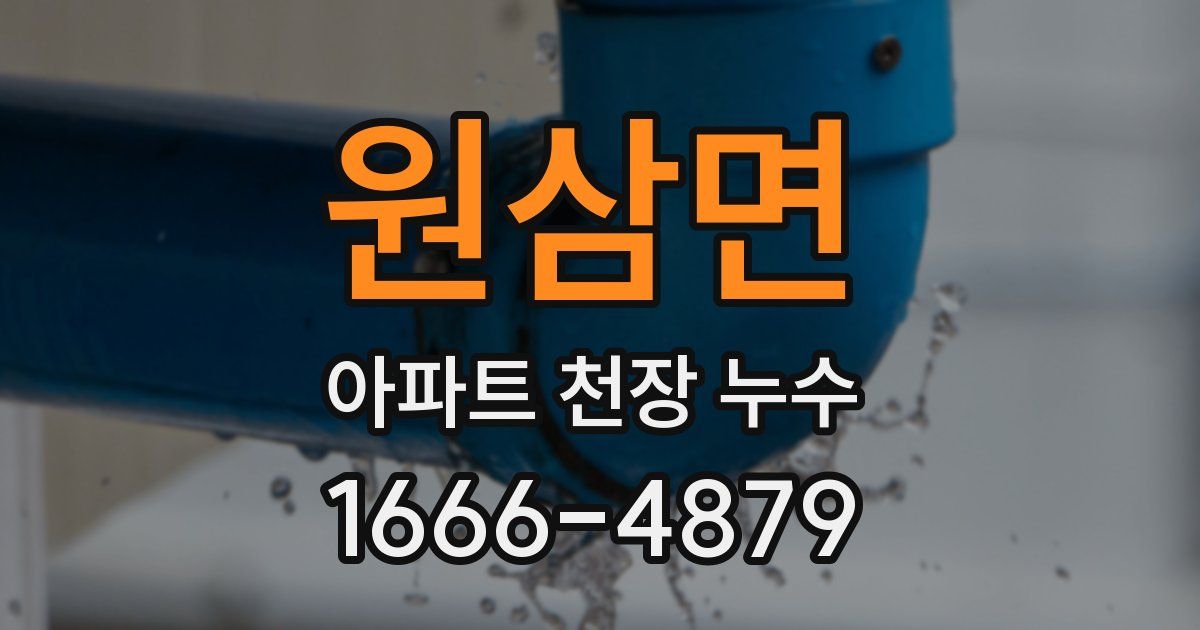원삼면 아파트 천장 누수