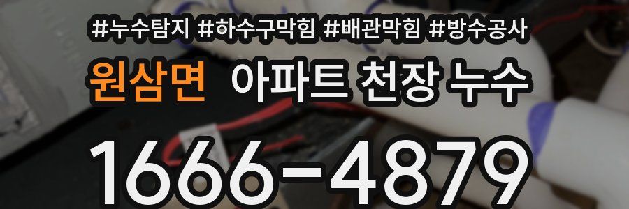 원삼면 아파트 천장 누수