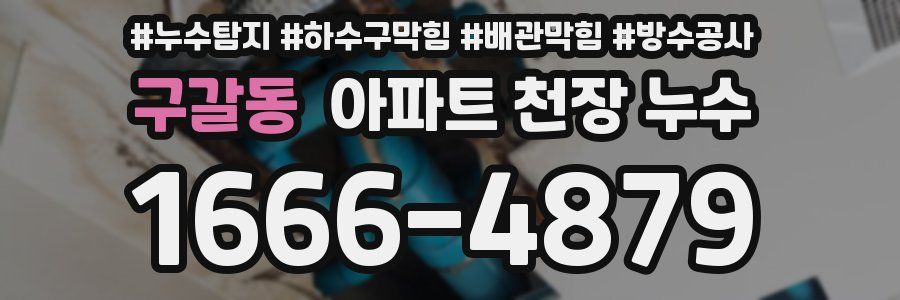 구갈동 아파트 천장 누수