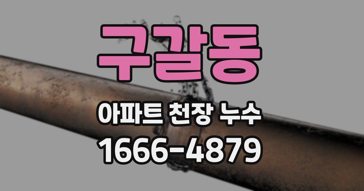 구갈동 아파트 천장 누수