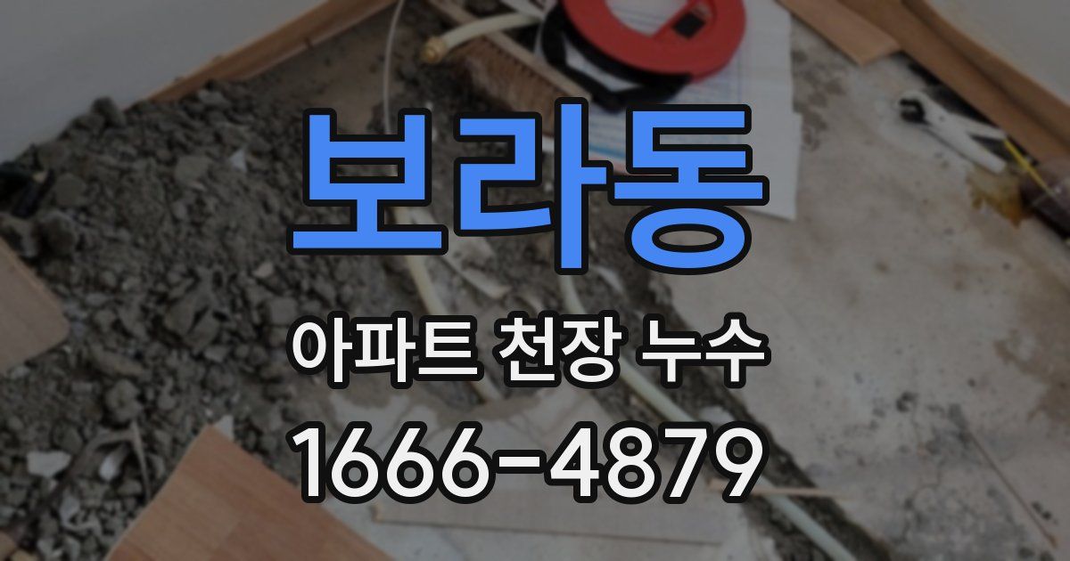 보라동 아파트 천장 누수