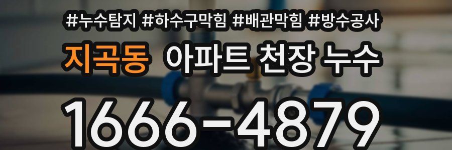 지곡동 아파트 천장 누수