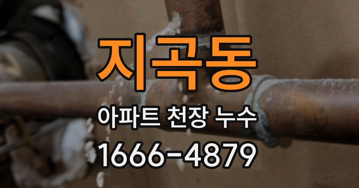 지곡동 아파트 천장 누수