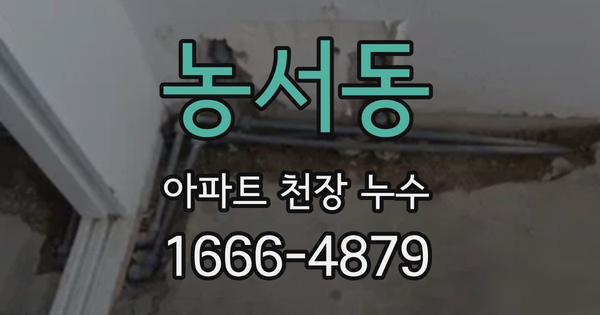 농서동 아파트 천장 누수