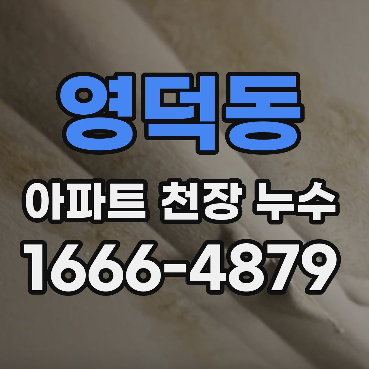 영덕동 아파트 천장 누수